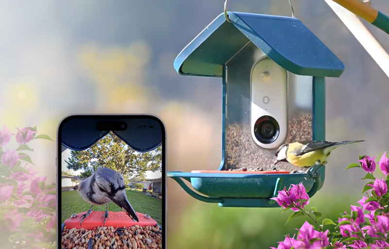 海外观鸟经济爆发！智能喂鸟器撬动千亿市场