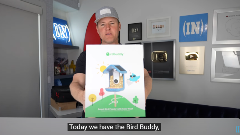 海外观鸟经济爆发！智能喂鸟器撬动千亿市场