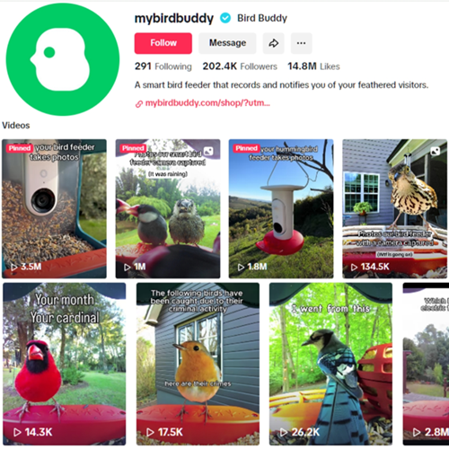 海外观鸟经济爆发！智能喂鸟器撬动千亿市场