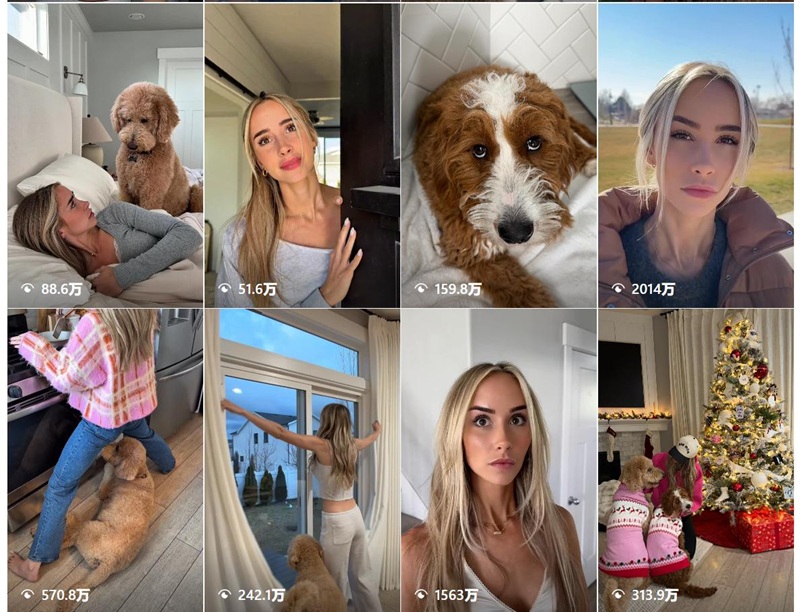 Instagram网红推荐：美国狗狗宠物博主频道内容