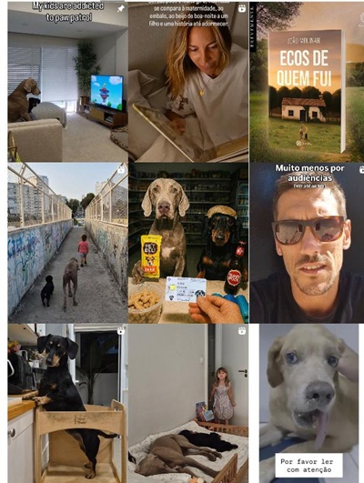 Instagram网红推广 ：葡萄牙宠物智能用品深度测评海外kol博主频道内容