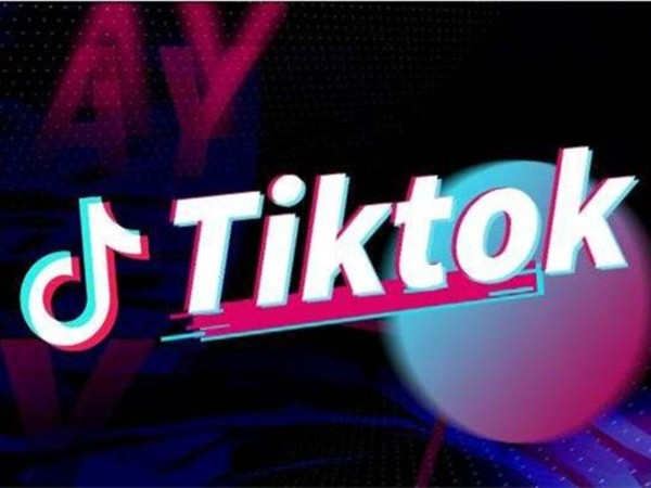 TikTok网红营销
