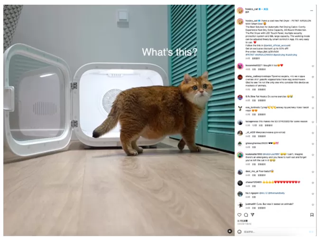 海外营销案例解析：稳住“毛孩子”，抓住钱袋子！