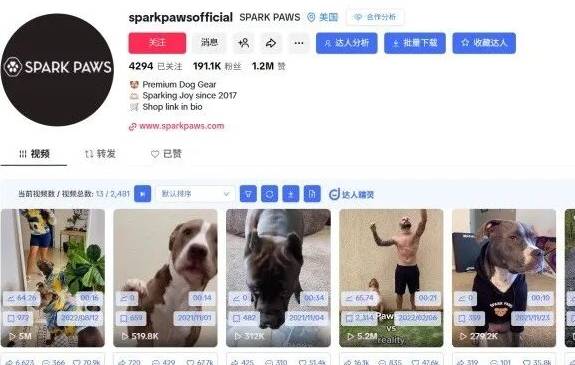 两三百一件狗衣服引爆社媒，半年卖出5600万美金