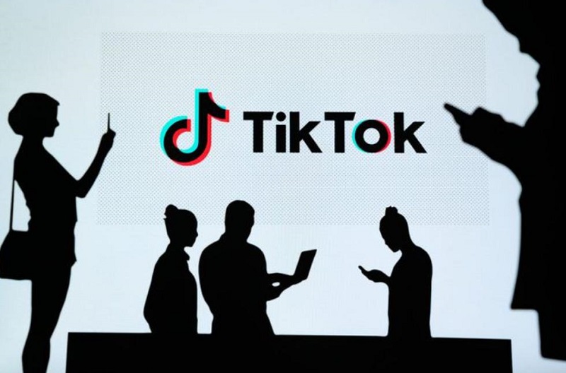 tiktok平台红人