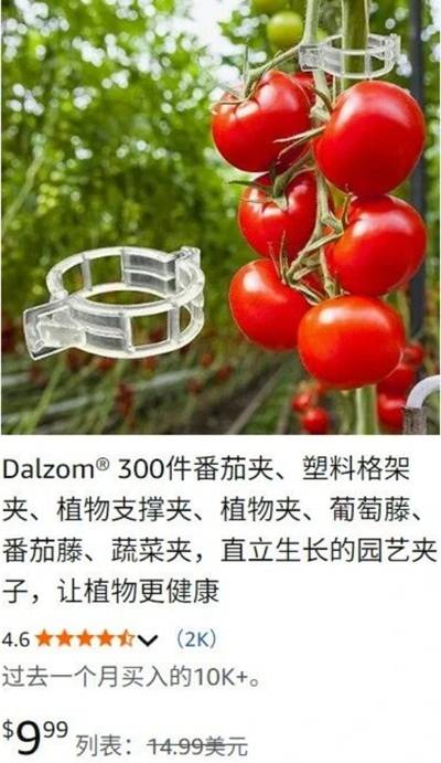 种花、种菜不是“伪刚需”，又有园艺产品在TikTok闷声大发财！