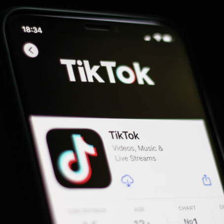 Tik Tok 网红营销