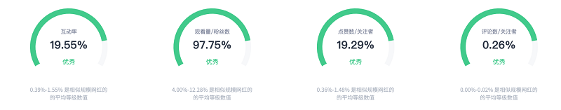 ins巴西旅游时尚网红数据